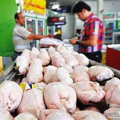 قیمت مرغ به ۸۰ هزار تومان می رسد؟
