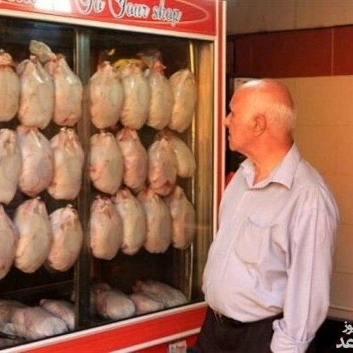قیمت مرغ به ۵۰هزار تومان می‌رسد