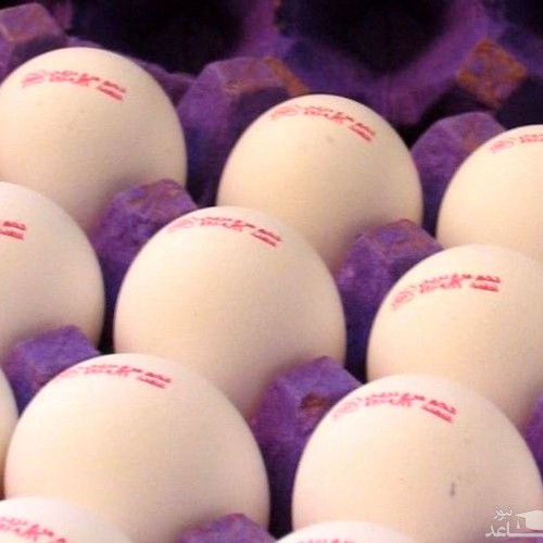 قیمت تخم مرغ های شناسنامه دار بسته بندی شده اعلام شد