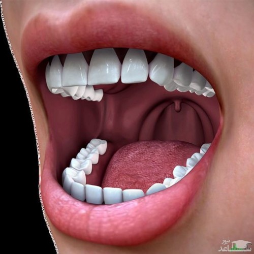 رکورد بزرگترین دهان جهان توسط این مرد، شکست + تصاویر تماشائی