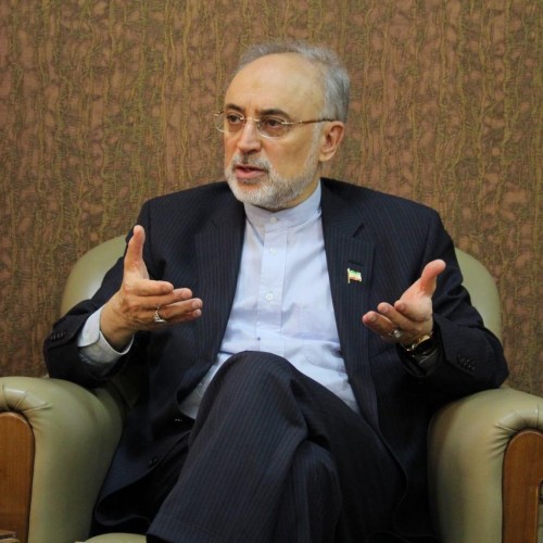 پرده برداری علی اکبر صالحی از کارشکنی احمدی نژاد در مذاکرات هسته ای!