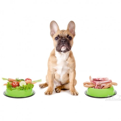 سبزیجات مفید و مضر برای سگ ها