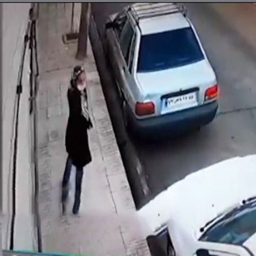 (فیلم) شگرد یک زن برای سرقت در جنوب تهران