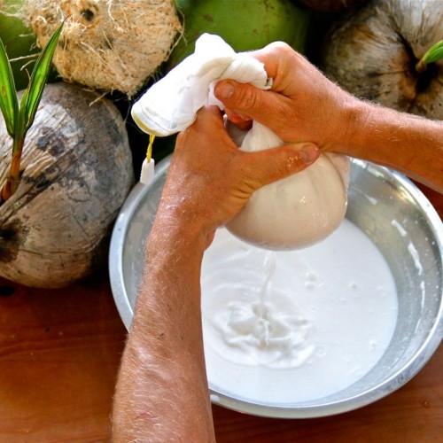 South Asian Cuisine's Thread of Ariadne: Making and Using Coconut Milk