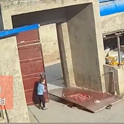 (فیلم) سقوط وحشتناک درب آهنی روی دو کودک و یک سگ