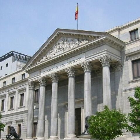 تعطیلی جلسه پارلمان اسپانیا به علت ورود یک حیوان