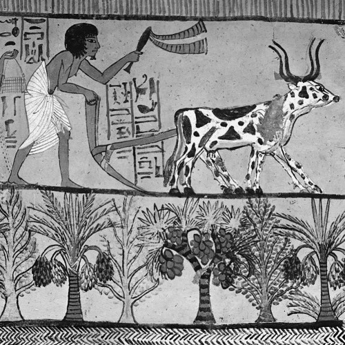 The Formation of Agricultural Communities: Seven Thousand Year Before Common Era