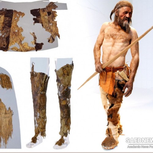 The Ice Man and Growing Technological Sense in Early Human Society