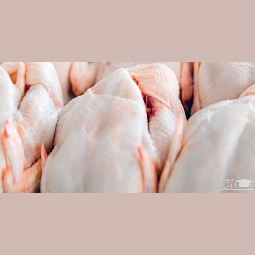 طرح توزیع مرغ در پایتخت، قیمت‌های کاذب را شکست