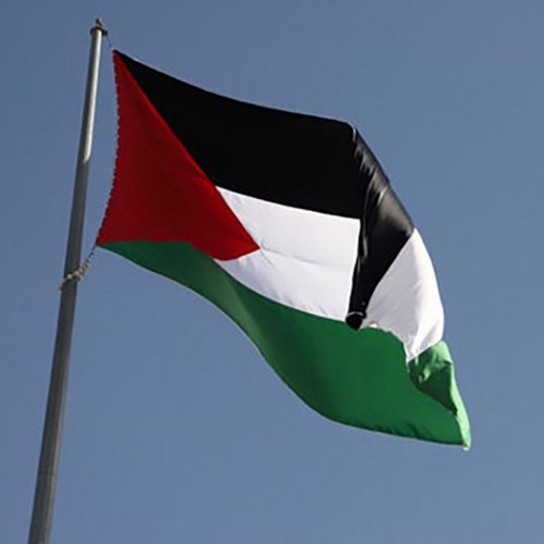 (تصاویر) اهتزاز پرچم فلسطین در بازی ژاپن و کرواسی
