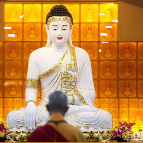(تصاویر) روز تولد بودا و فرستادن هزاران بالن به آسمان