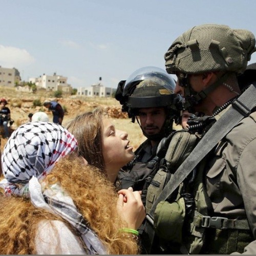 (تصاویر) تداوم جنایات رژیم کودک کش اسرائیل در فلسطین