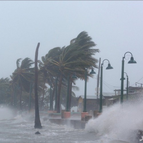 (فیلم) تصاویری هولناک از طوفان سهمگین السا در فلوریدا