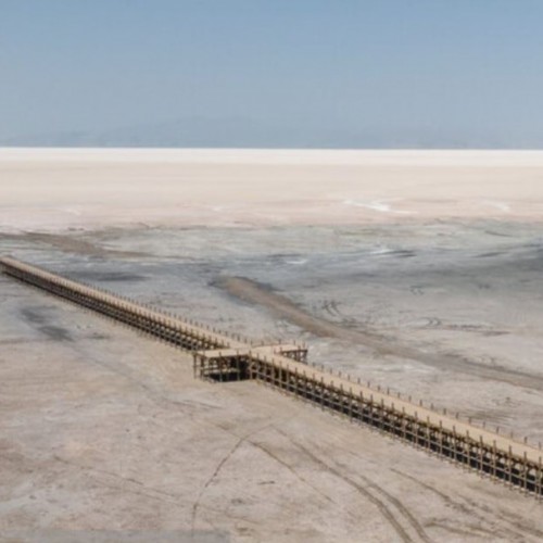 تصویری تراژیک از مرگ حیات وحش در دریاچه ارومیه خشکیده