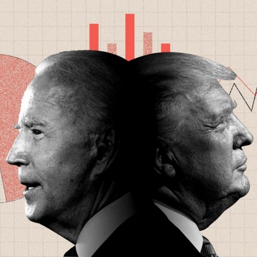 US National Polls Introduce Biden as Winner of the Election