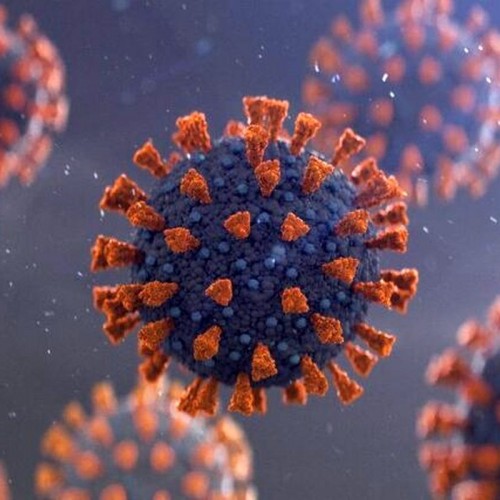 ویروس کرونا به دنبال افزایش تغییر جهش