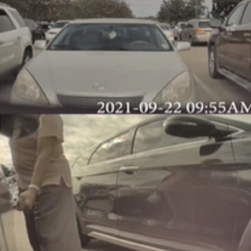 ضبط رفتار زشت و عقده گشایی یک زن توسط دوربین خودروی تسلا +فیلم