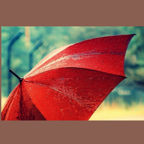 زیباترین متن ادبی درمورد چتر