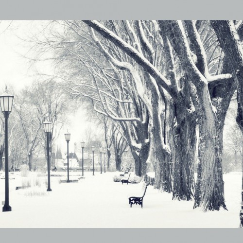 زیباترین شعرهای زمستان (2)