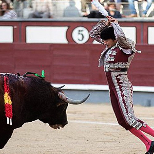 فیلم(۱۸+) زجرکش کردن گاو در فرهنگ اسپانیایی‌ها