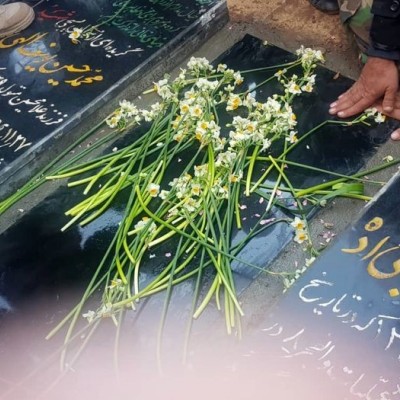 (فیلم) صف طولانی زیارت مزار شهید حاج قاسم سلیمانی در کرمان