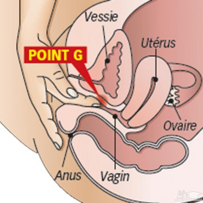 نحوه تحریک و انزال زنان با نقطه جی ساعدنیوز