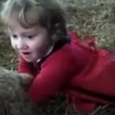 (فیلم) بره‌ای که با کمک مامای سه ساله به دنیا آمد!