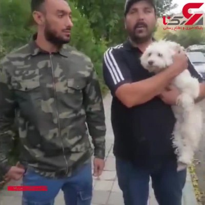 (فیلم) نجات سگ نگون‌بخت از چنگال زن تهرانی
